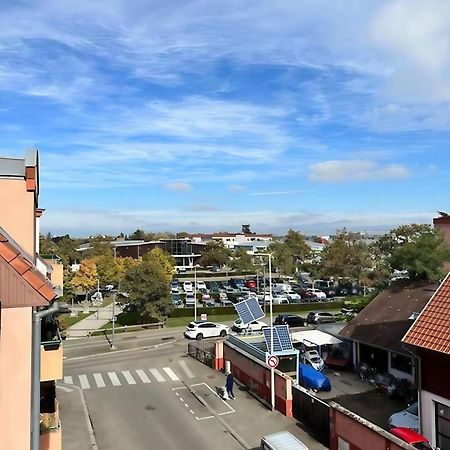 Superbe Duplex Proche Centre Ville Parking Gratuit Colmar Esterno foto
